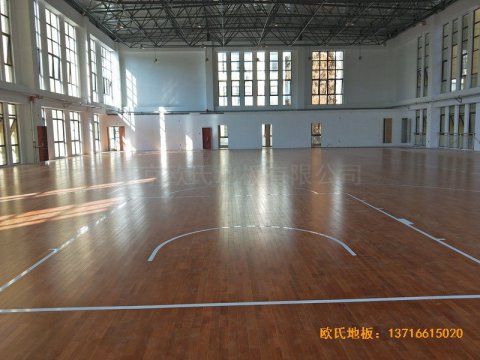 安徽上派学区中心学校篮球馆运动木地
